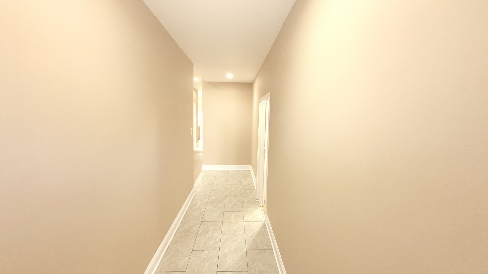 9738 S Avenue L Avenue #1, Chicago, IL 60617