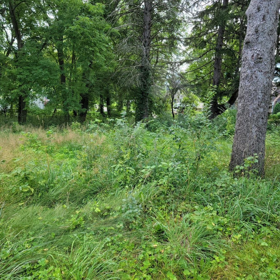 25570 W High Street, Wauconda, IL 60084