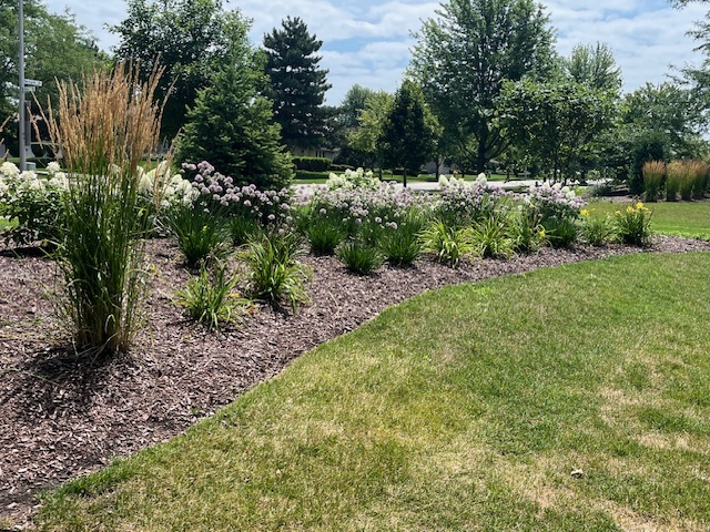 17754 Bernard Drive #2C, Orland Park, IL 60467
