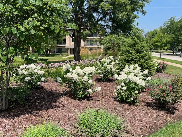 17754 Bernard Drive #2C, Orland Park, IL 60467