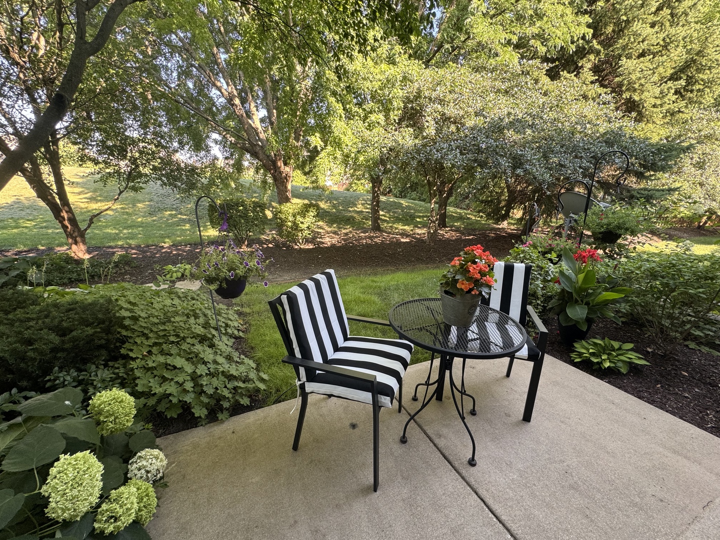 2827 White Thorn Circle, Naperville, IL 60564