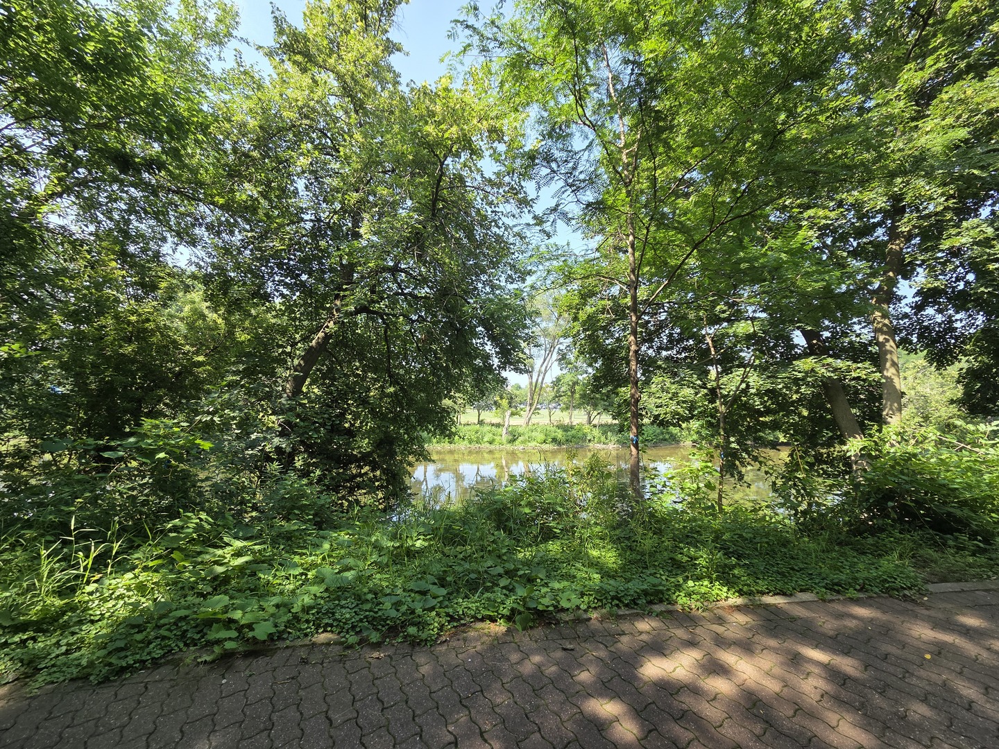511 Aurora Avenue #108, Naperville, IL 60540