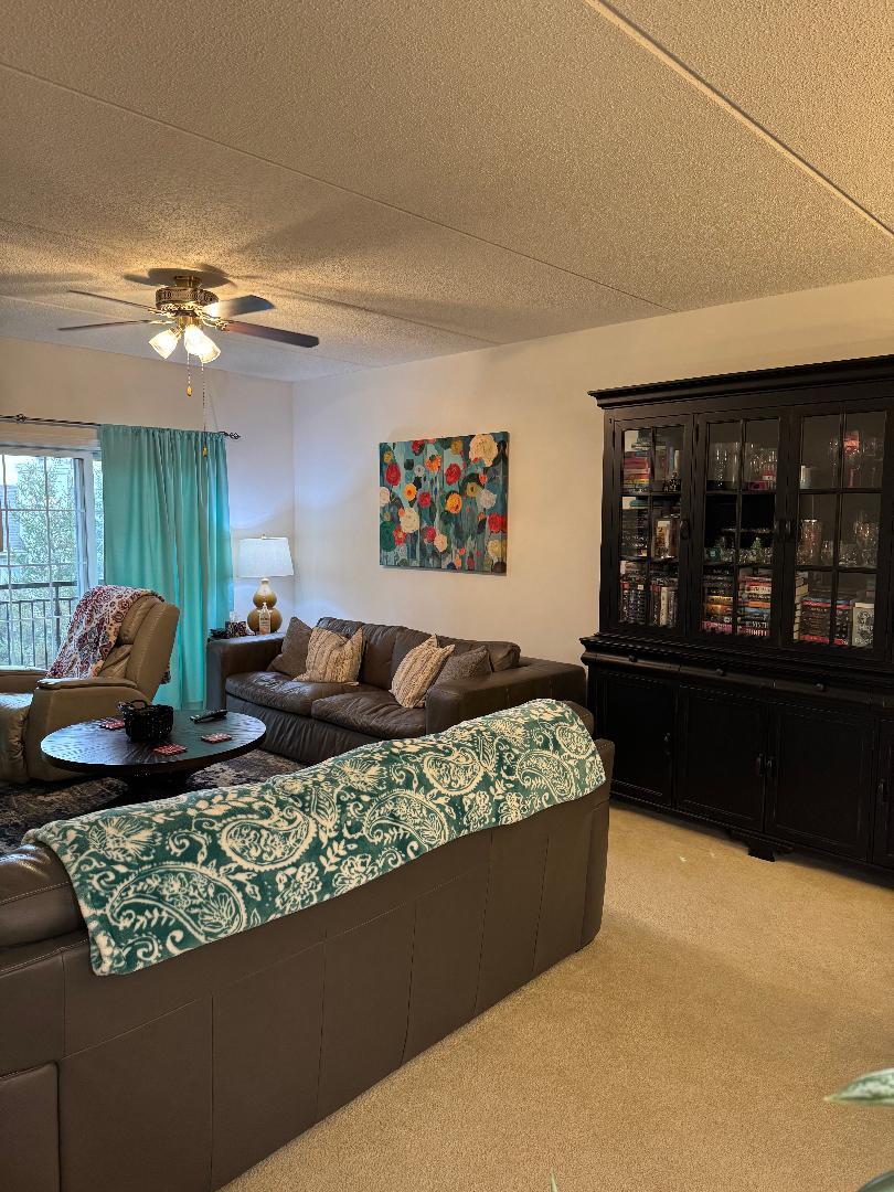 1479 MILWAUKEE Avenue #205, Libertyville, IL 60048