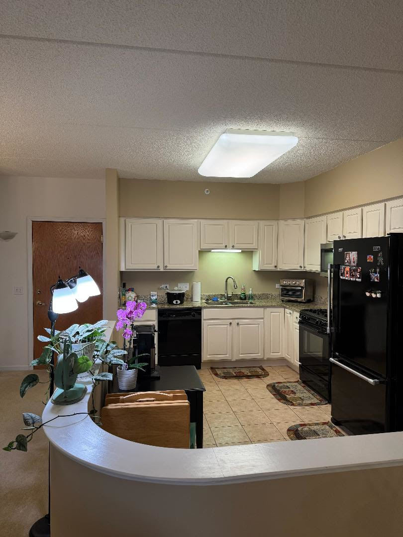 1479 MILWAUKEE Avenue #205, Libertyville, IL 60048