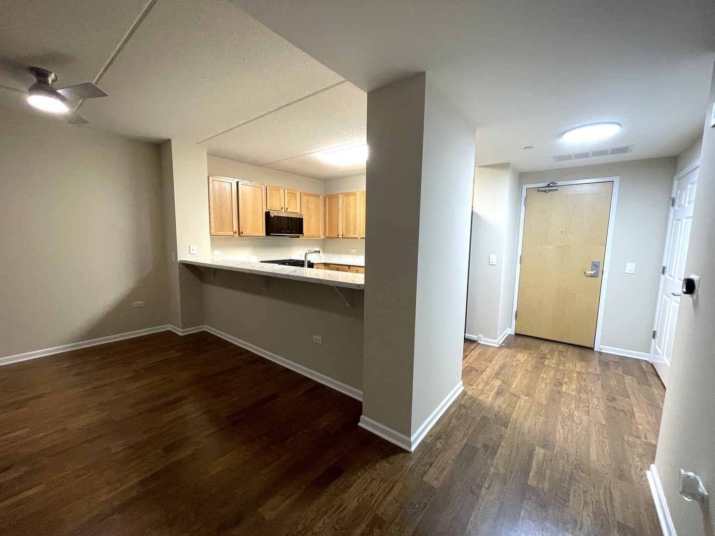 656 Pearson Street #309, Des Plaines, IL 60016