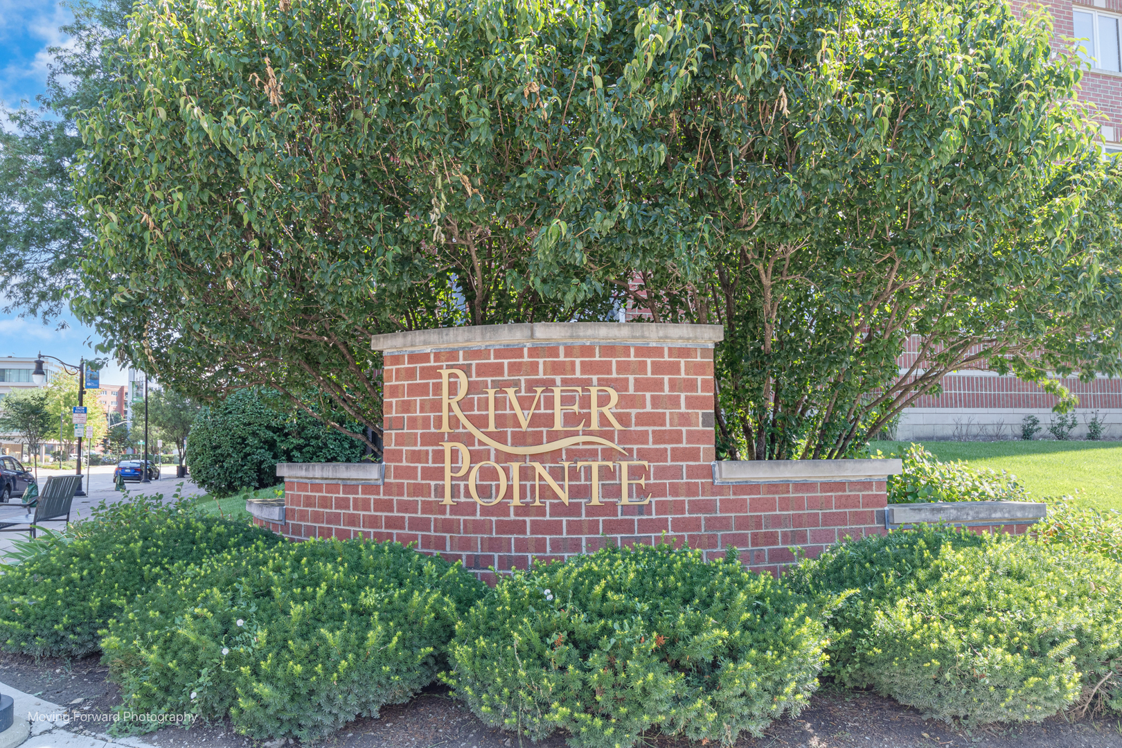 656 Pearson Street #309, Des Plaines, IL 60016