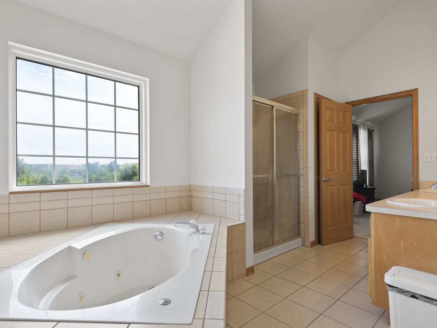 16107 Carlow Circle, Manhattan, IL 60442