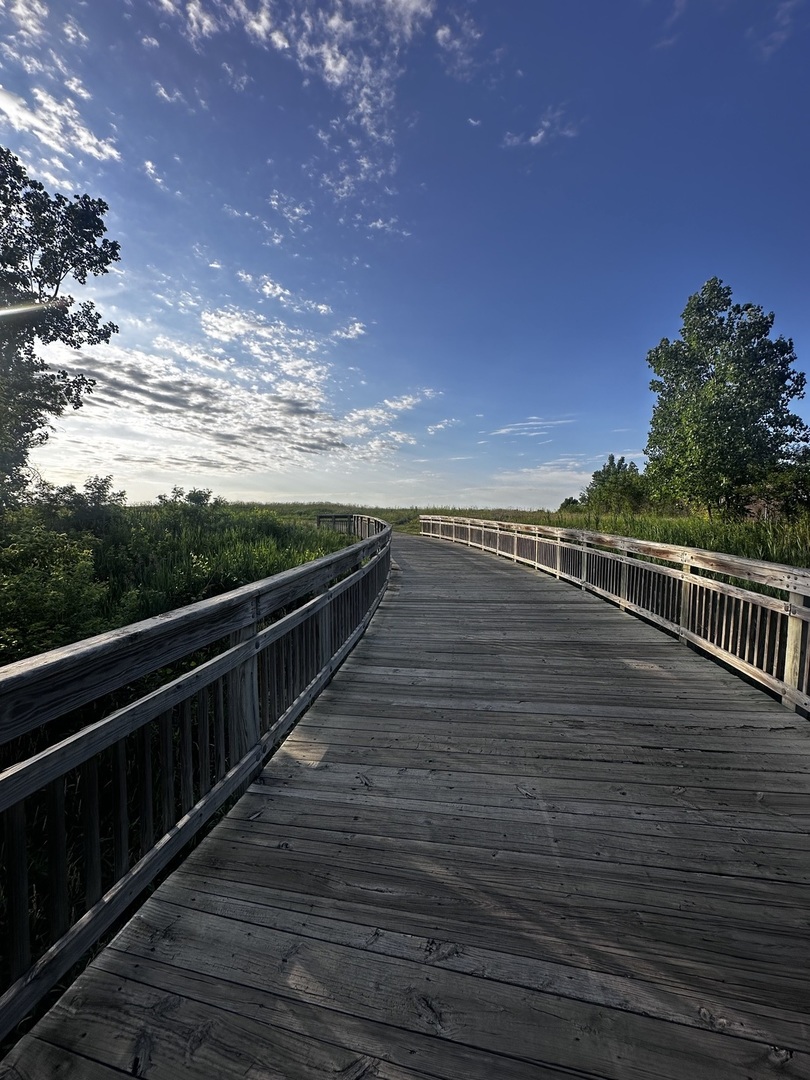 11 Roanoke Court, Bolingbrook, IL 60440