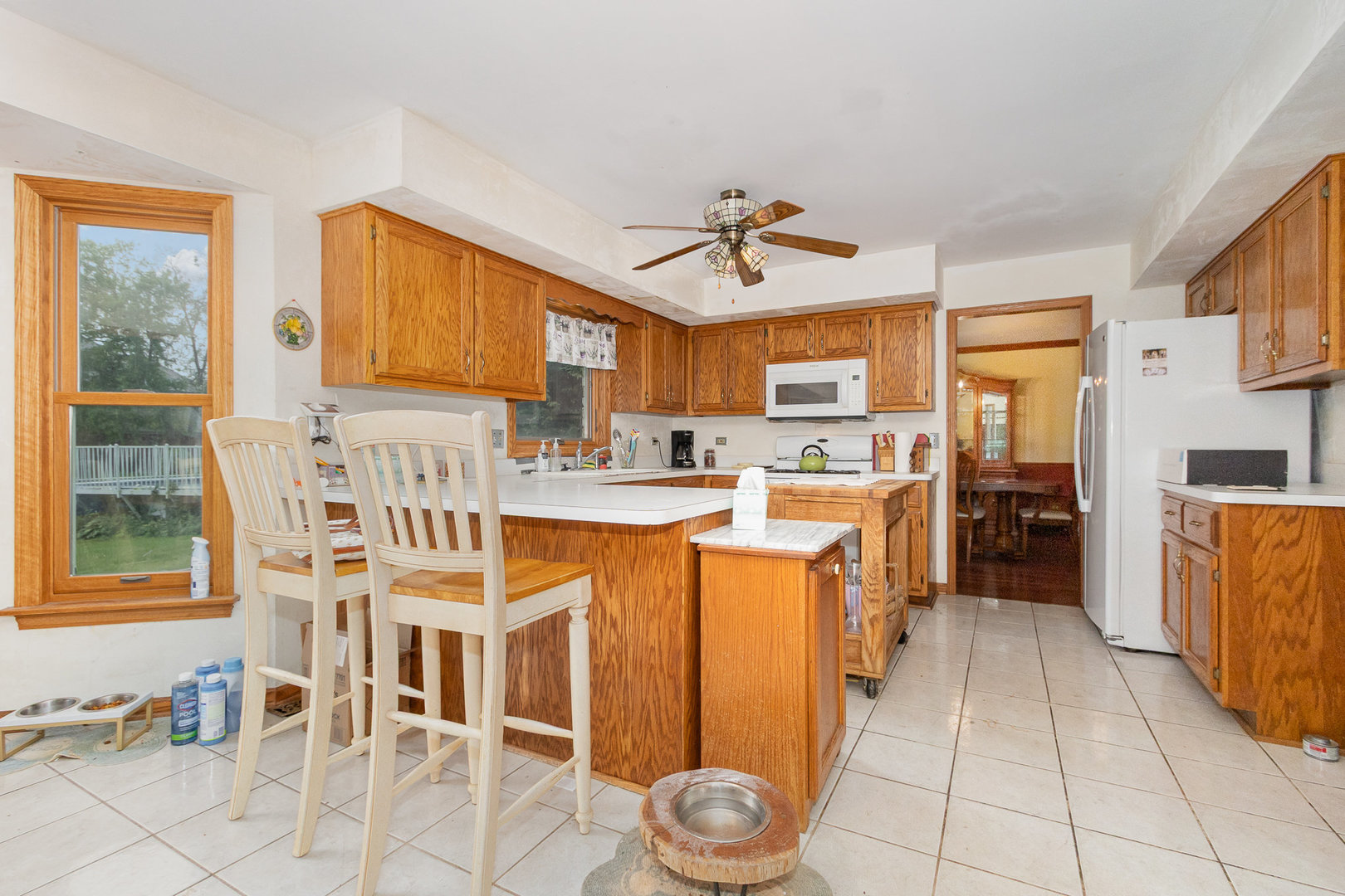 9217 173rd Place, Tinley Park, IL 60487