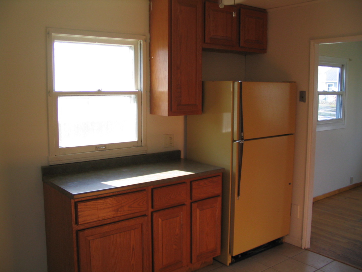 16 S William Street, Joliet, IL 60436
