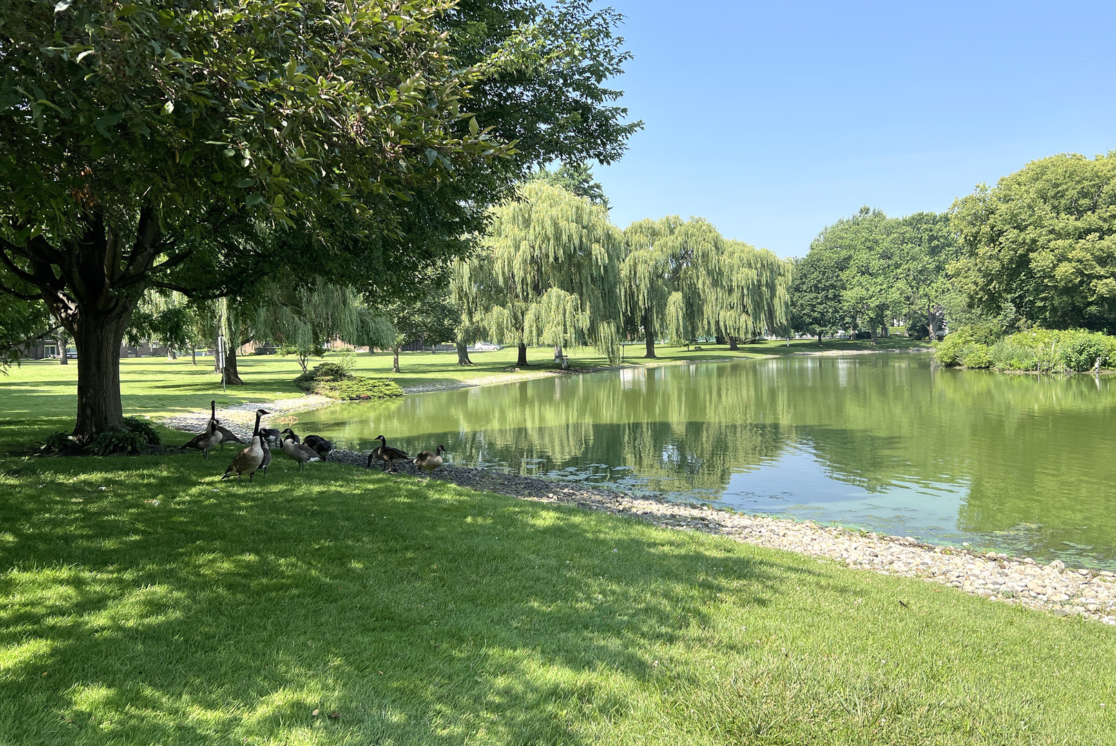 26 N Regency Drive, Arlington Heights, IL 60004