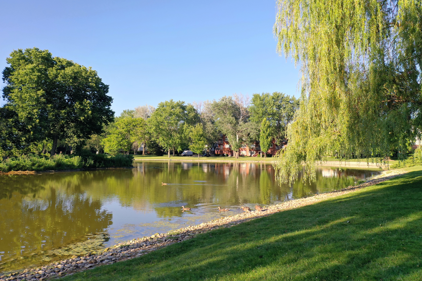 26 N Regency Drive, Arlington Heights, IL 60004