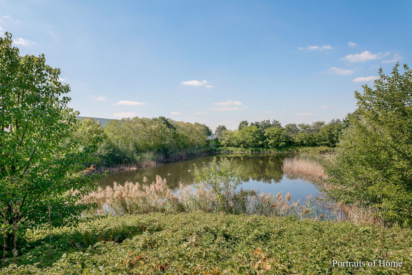 1453 Blackhawk Court #4, Wood Dale, IL 60191