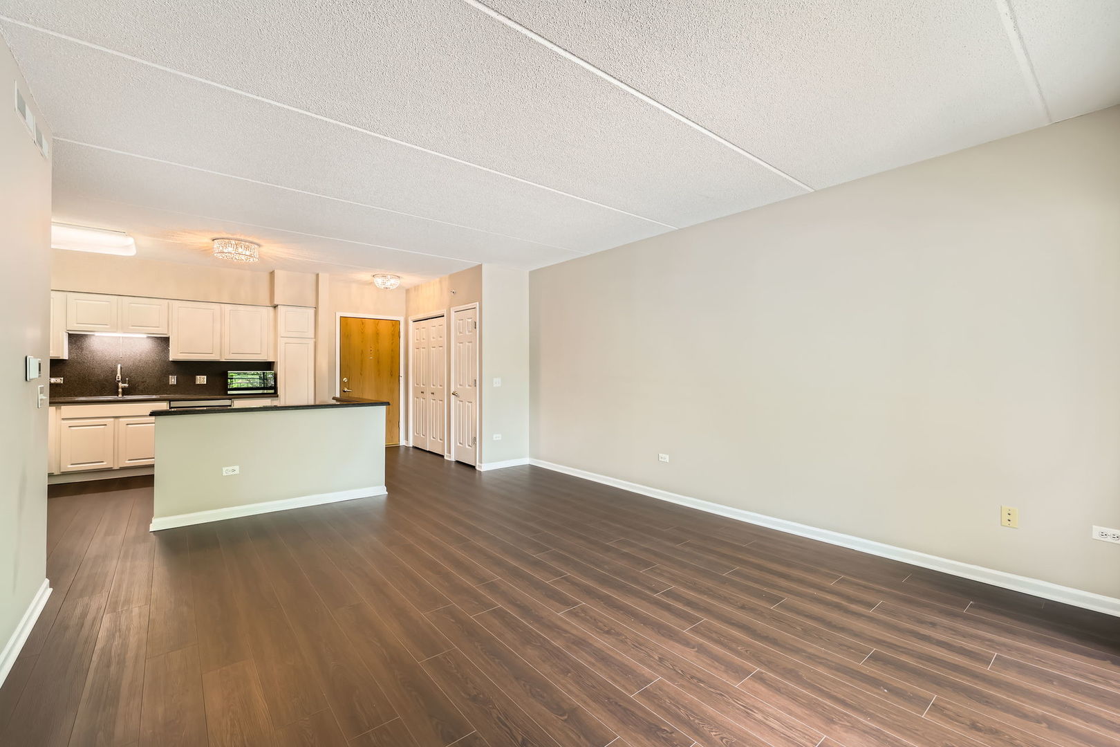 104 N Plum Grove Road #203, Palatine, IL 60067
