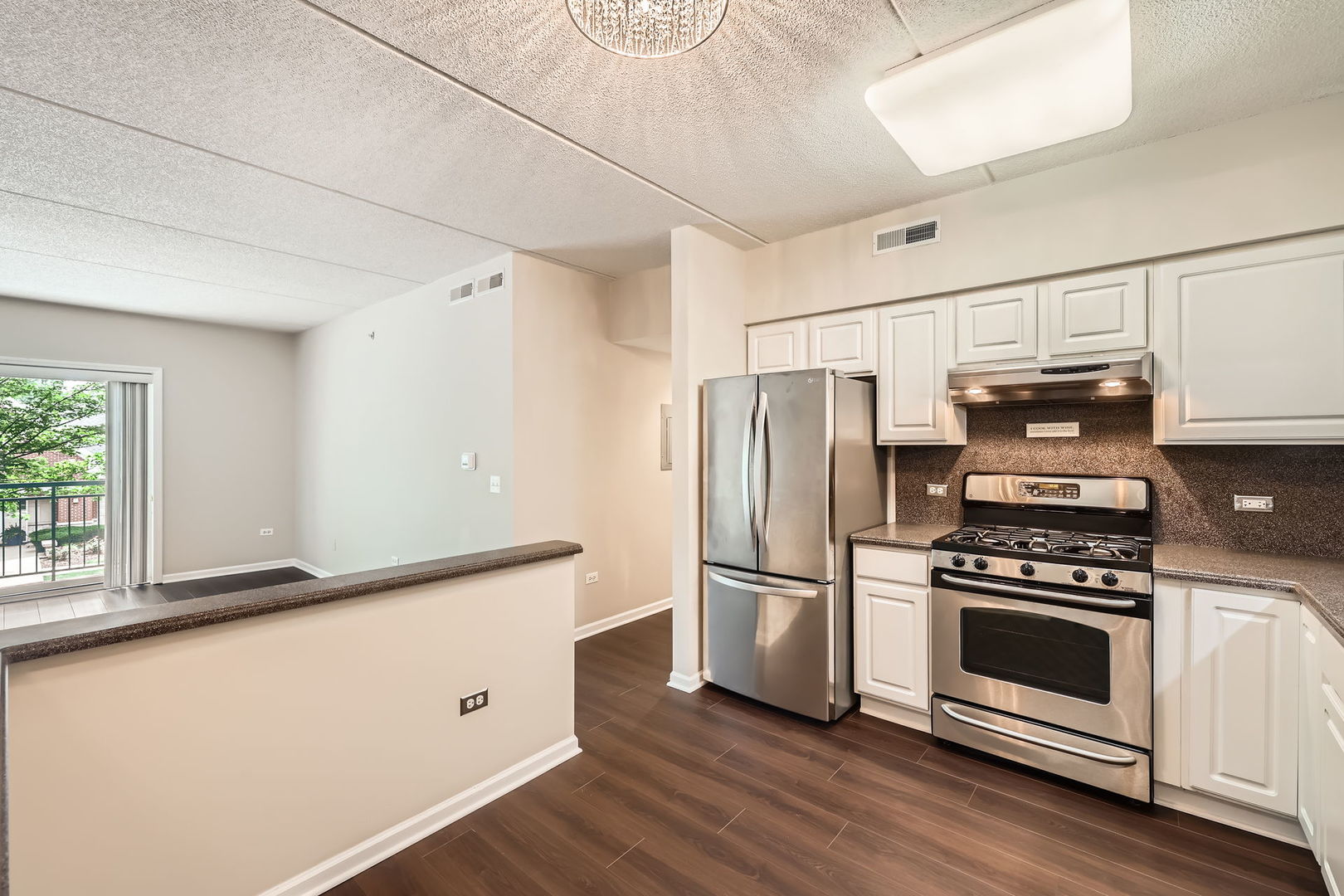 104 N Plum Grove Road #203, Palatine, IL 60067