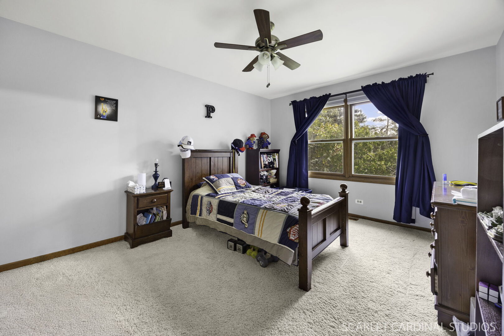 912 Sanctuary Lane, Naperville, IL 60540