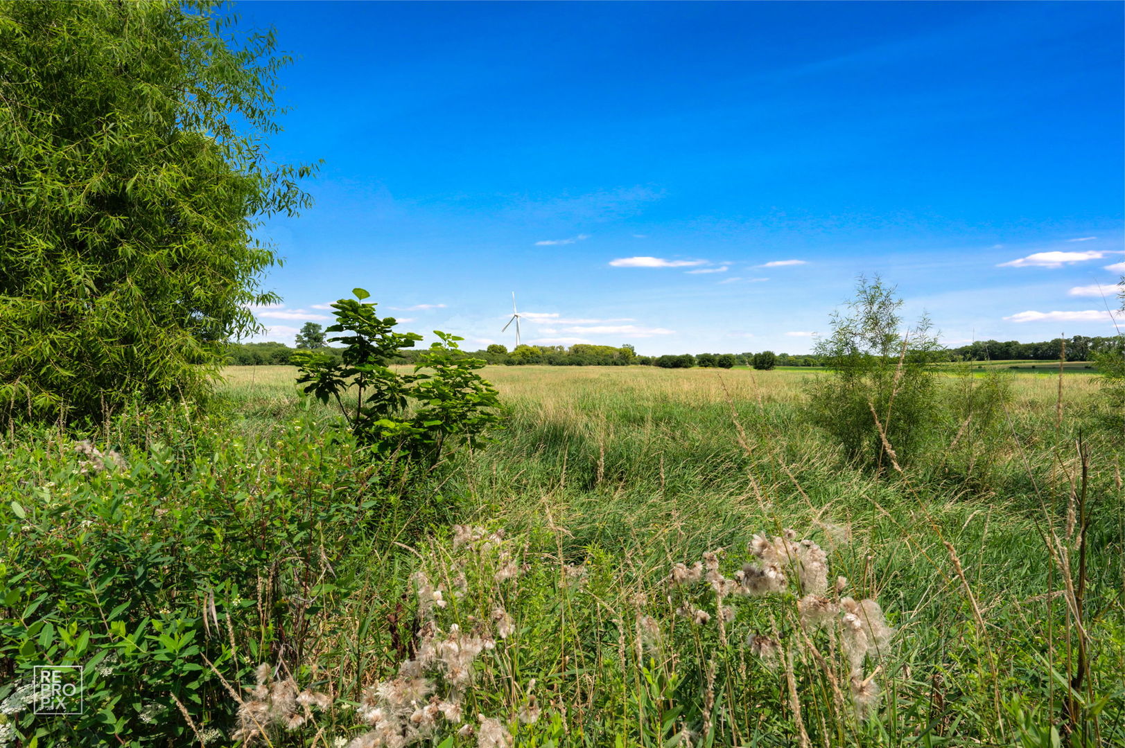 1558 Fox Sedge Trail, Woodstock, IL 60098