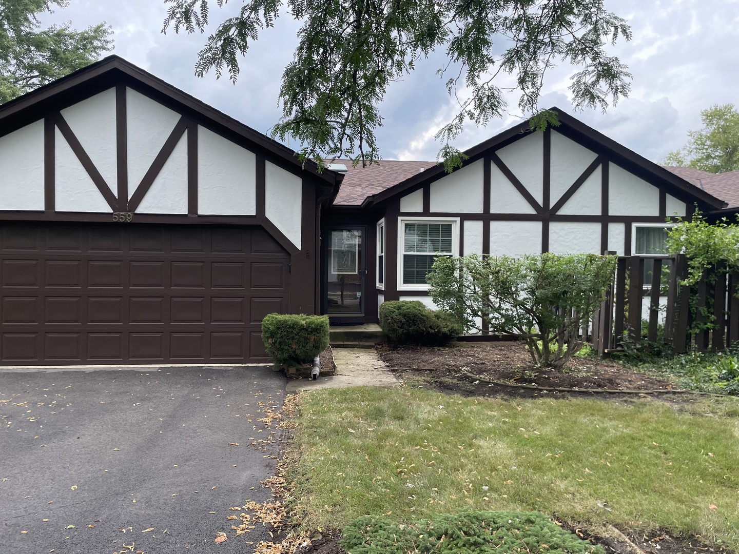 559 Fessler Avenue, Naperville, IL 60565