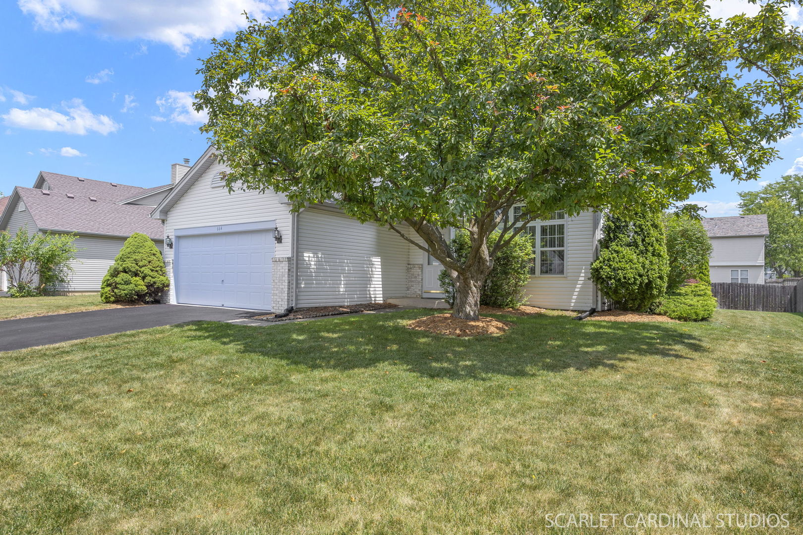664 Birchwood Drive, Bolingbrook, IL 60490