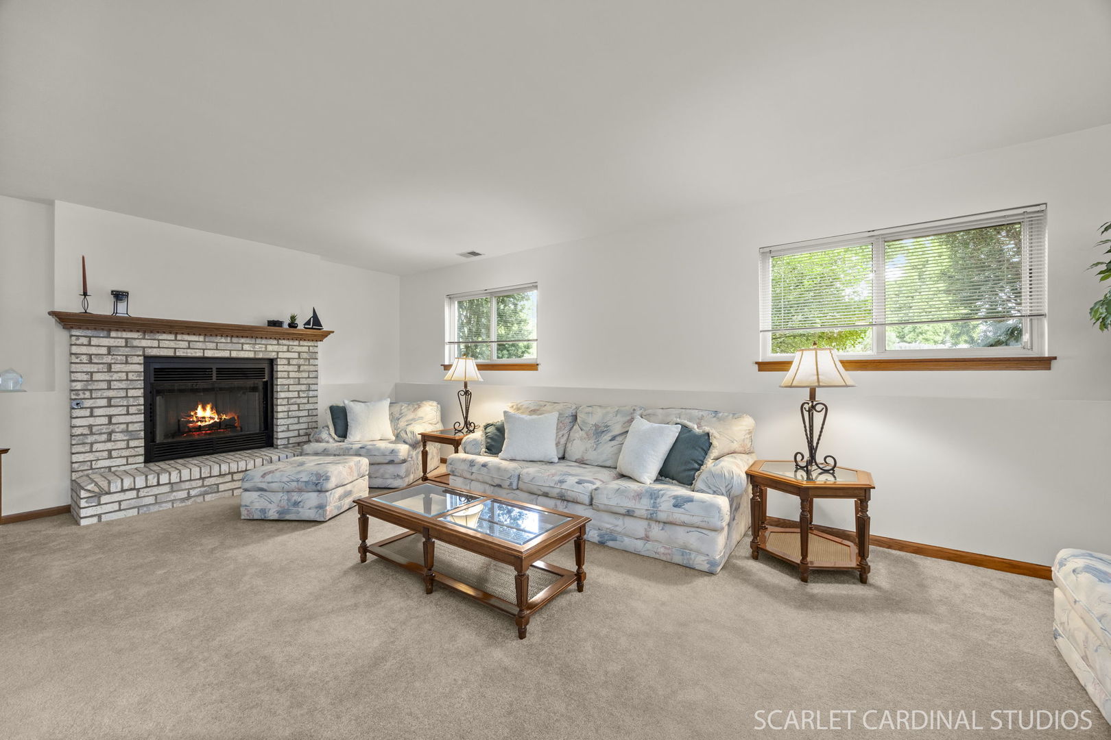 664 Birchwood Drive, Bolingbrook, IL 60490