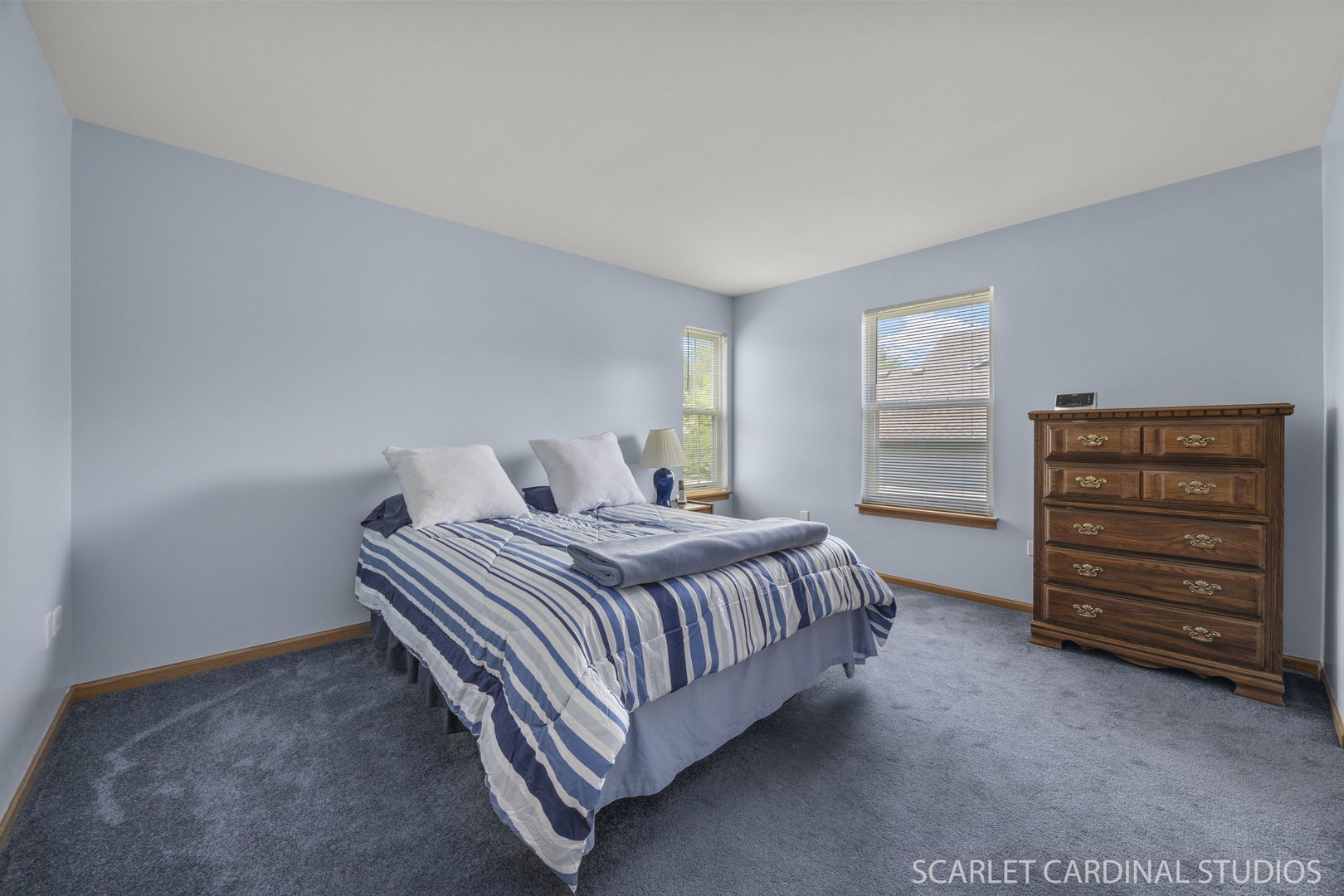 664 Birchwood Drive, Bolingbrook, IL 60490