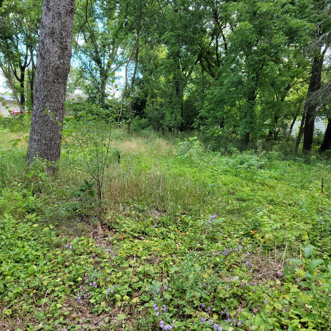25578 W High Street, Wauconda, IL 60084