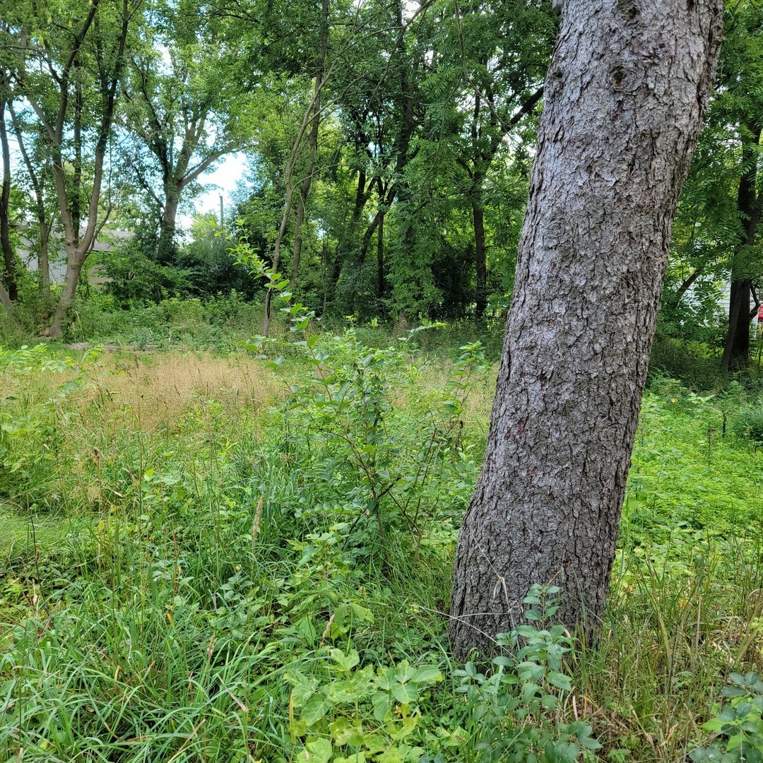 25586 W High Street, Wauconda, IL 60084