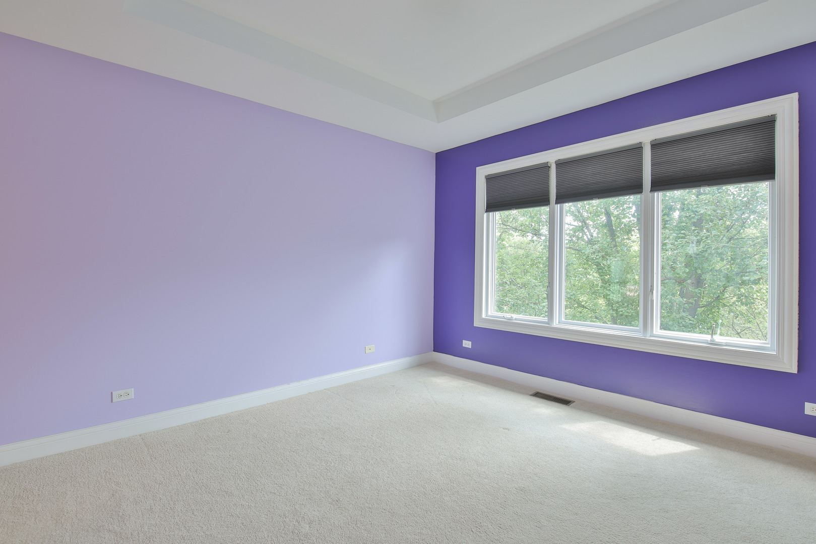 3702 W Homestead Trail, Crystal Lake, IL 60012