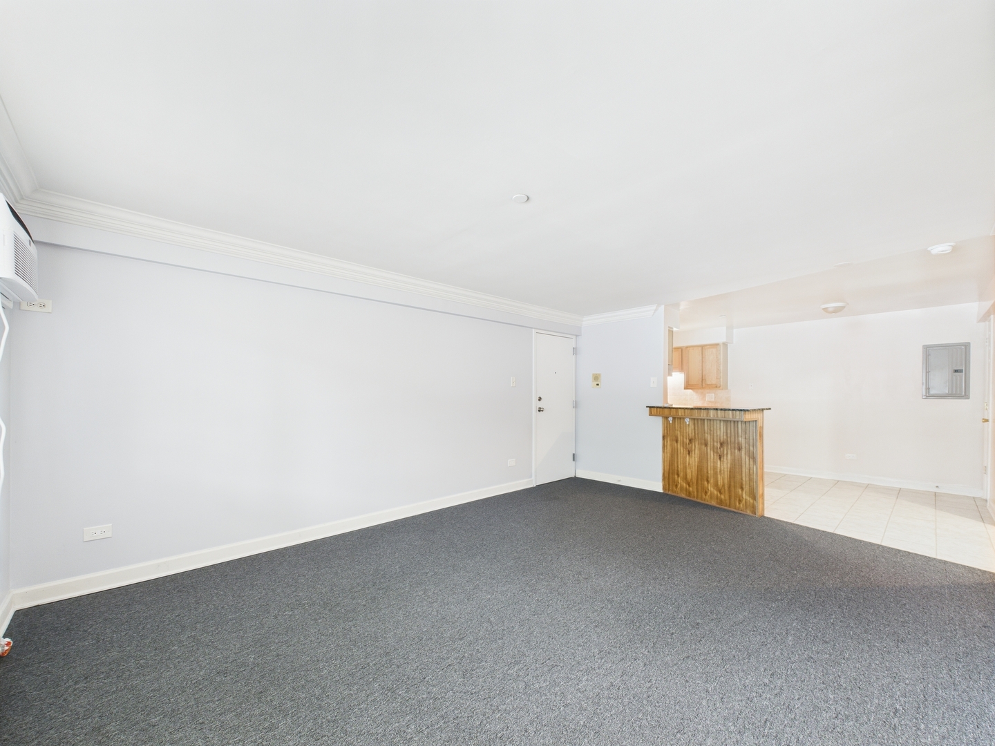 8810 BRIAR Course #1B, Des Plaines, IL 60016