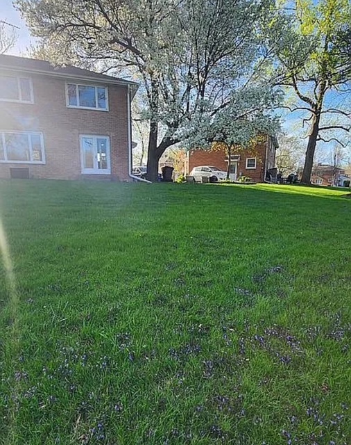 37 Choate Road, Park Forest, IL 60466