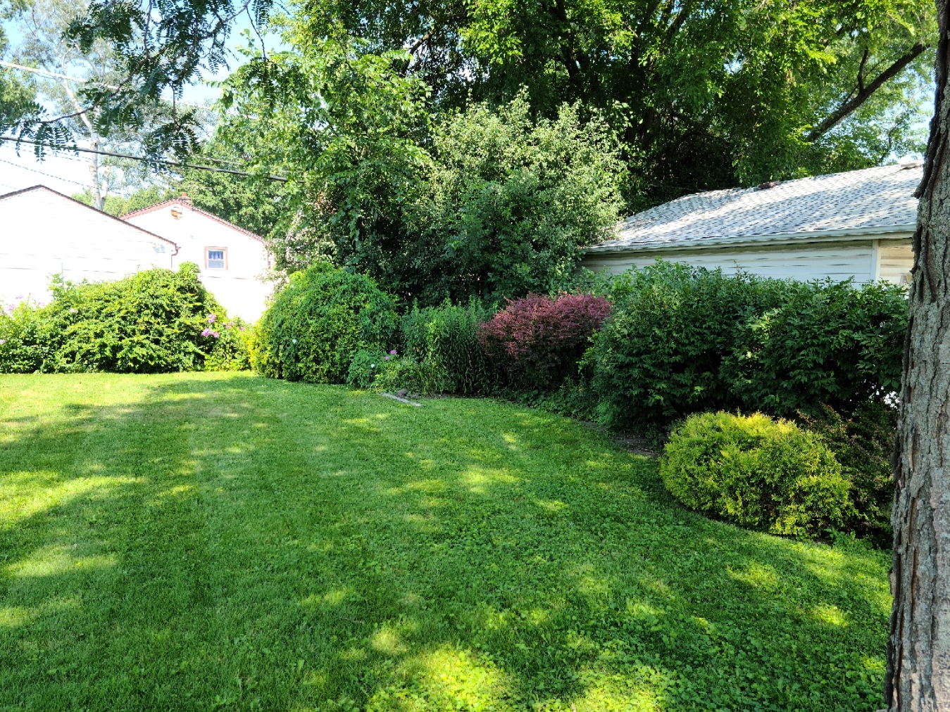 218 S Princeton Street, Addison, IL 60101