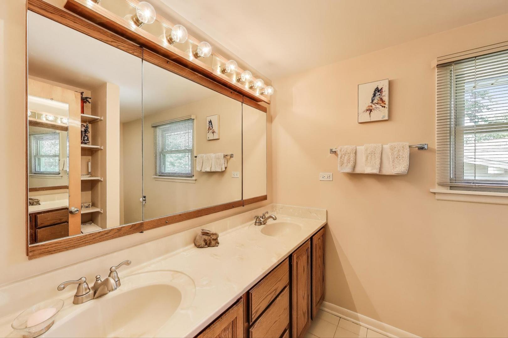 294 Lynn Court, Des Plaines, IL 60016