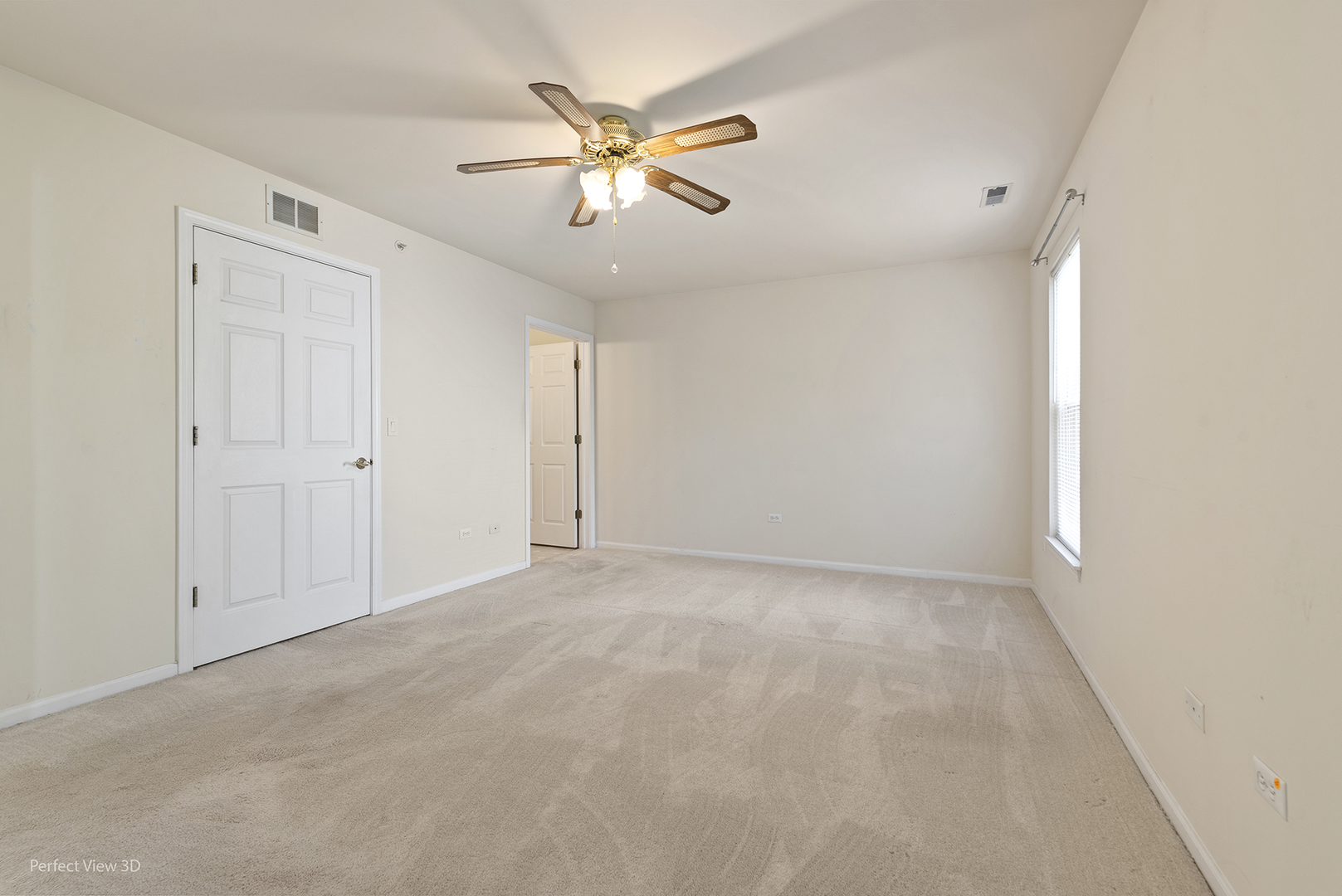 13809 S Bristlecone Lane #C, Plainfield, IL 60544