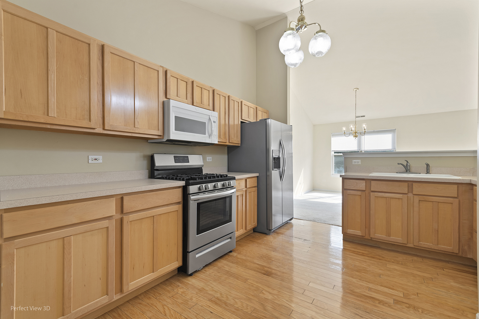 13809 S Bristlecone Lane #C, Plainfield, IL 60544