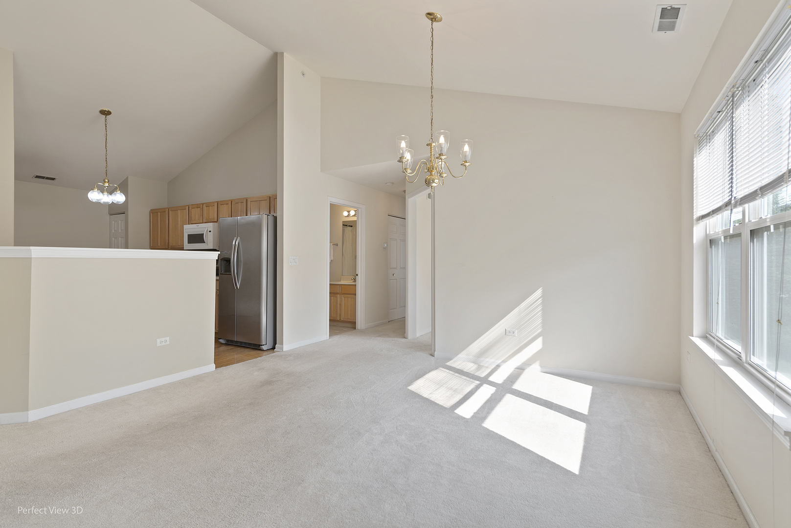 13809 S Bristlecone Lane #C, Plainfield, IL 60544