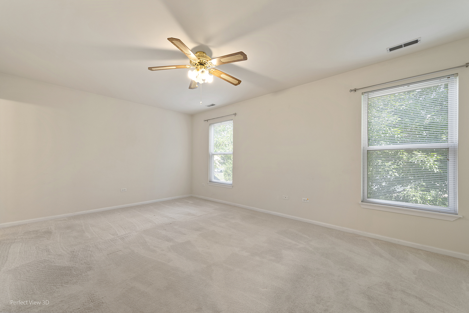 13809 S Bristlecone Lane #C, Plainfield, IL 60544