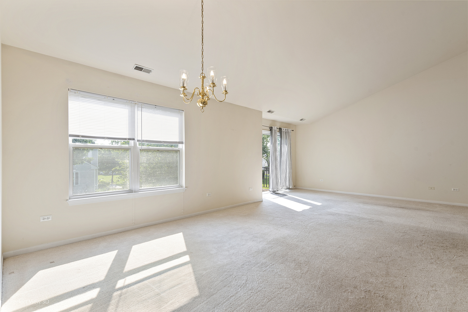13809 S Bristlecone Lane #C, Plainfield, IL 60544