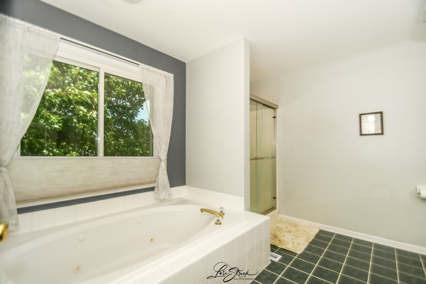 3172 SECRETARIAT Drive, Aurora, IL 60502