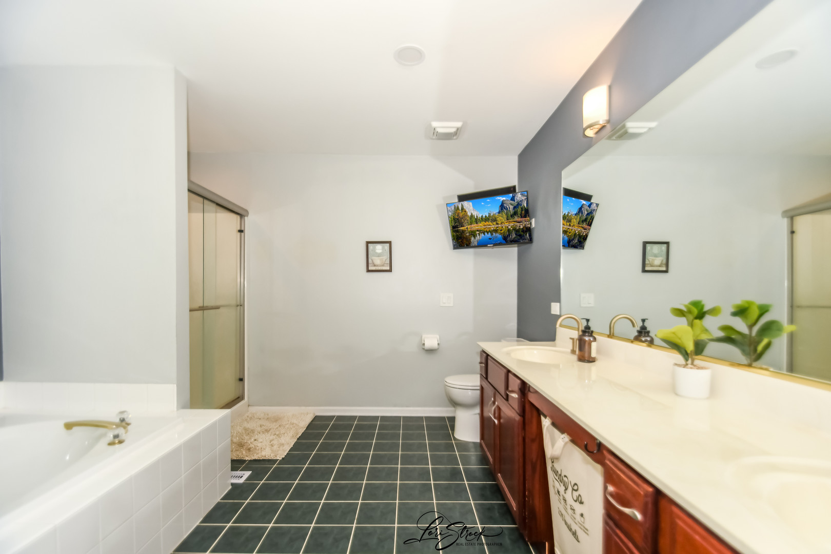 3172 SECRETARIAT Drive, Aurora, IL 60502