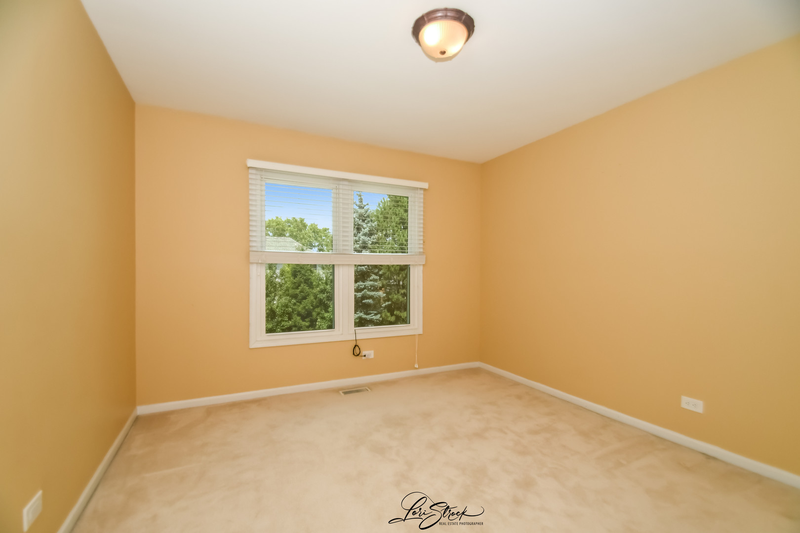 3172 SECRETARIAT Drive, Aurora, IL 60502