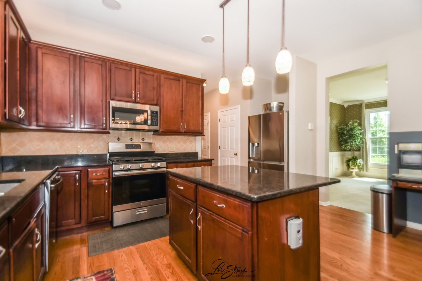 3172 SECRETARIAT Drive, Aurora, IL 60502