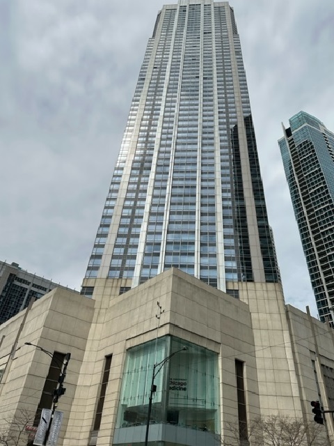 512 N Mcclurg Court #2408, Chicago, IL 60611