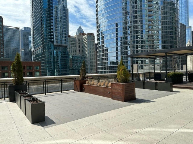 512 N Mcclurg Court #2408, Chicago, IL 60611