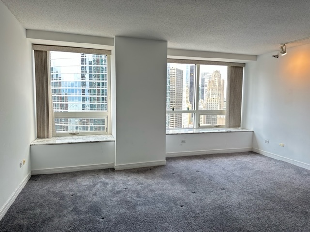 512 N Mcclurg Court #2408, Chicago, IL 60611