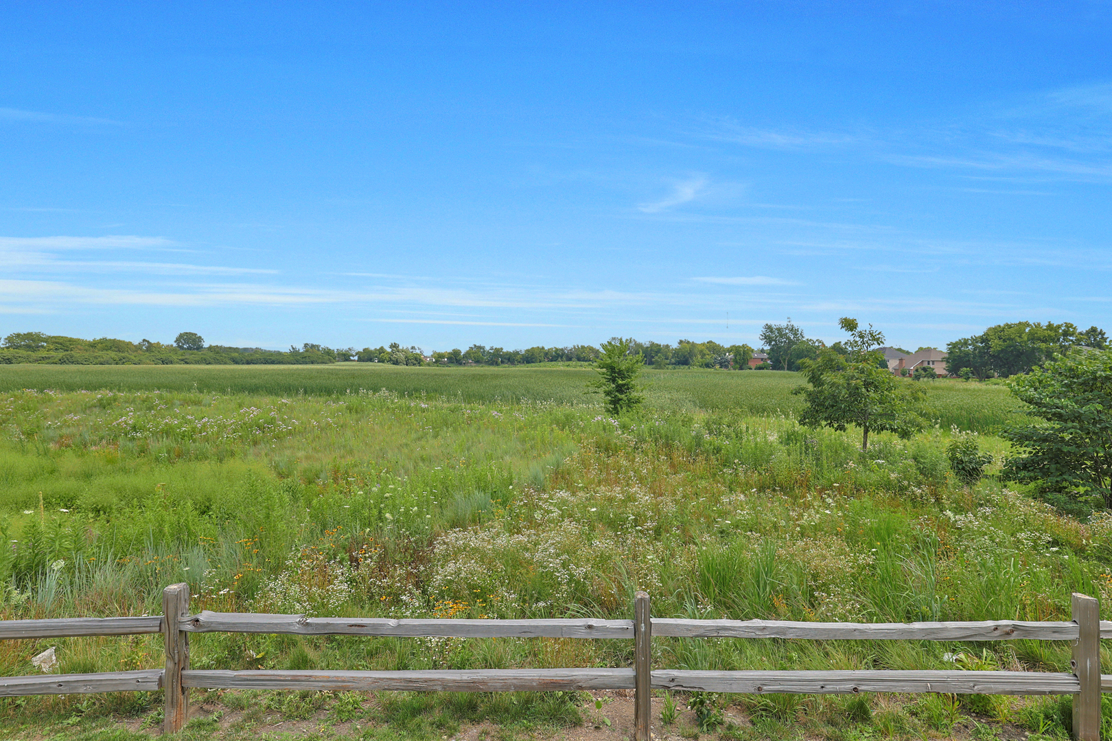 316 Timberleaf Circle, Roselle, IL 60172