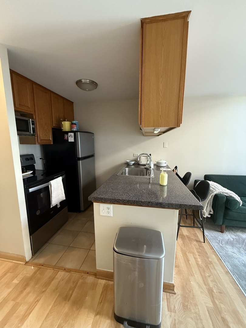 1221 N Dearborn Street #1005S, Chicago, IL 60610