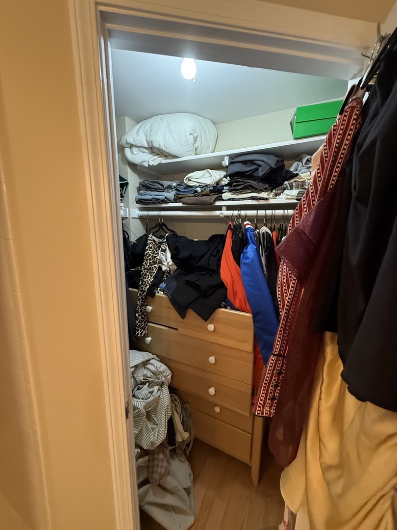 1221 N Dearborn Street #1005S, Chicago, IL 60610