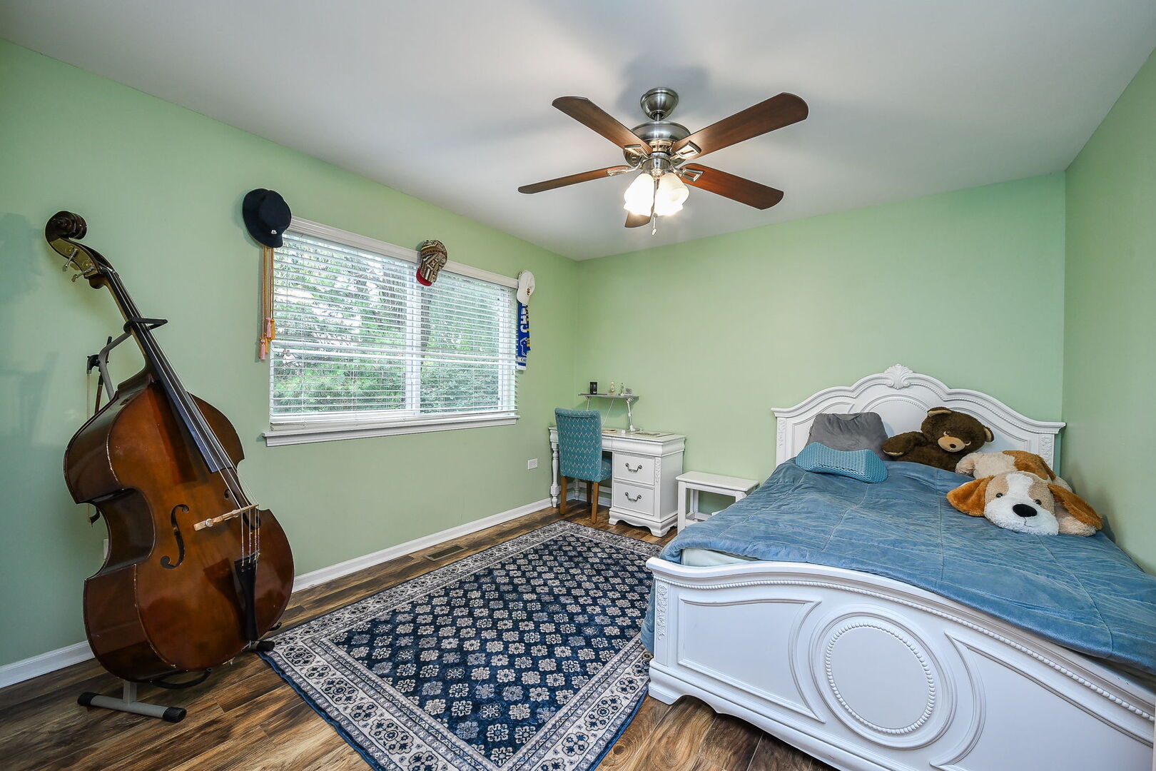 3169 Saganashkee Lane, Naperville, IL 60564