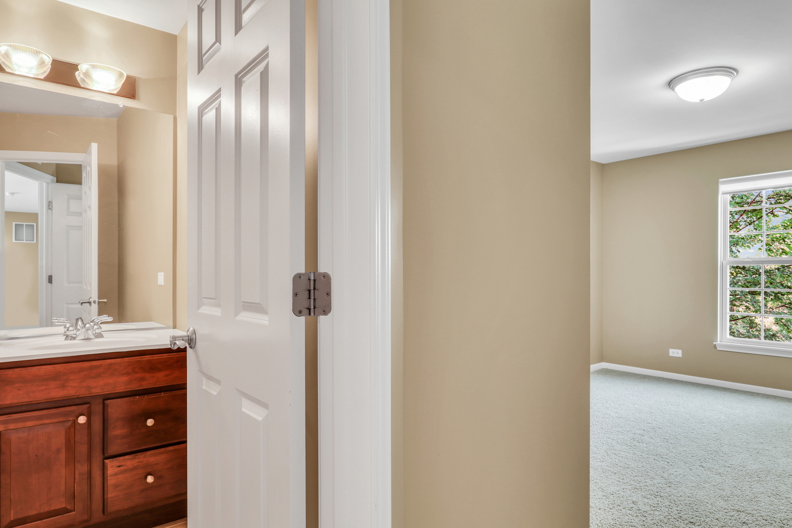 1313 Turnberry Lane, Mundelein, IL 60060