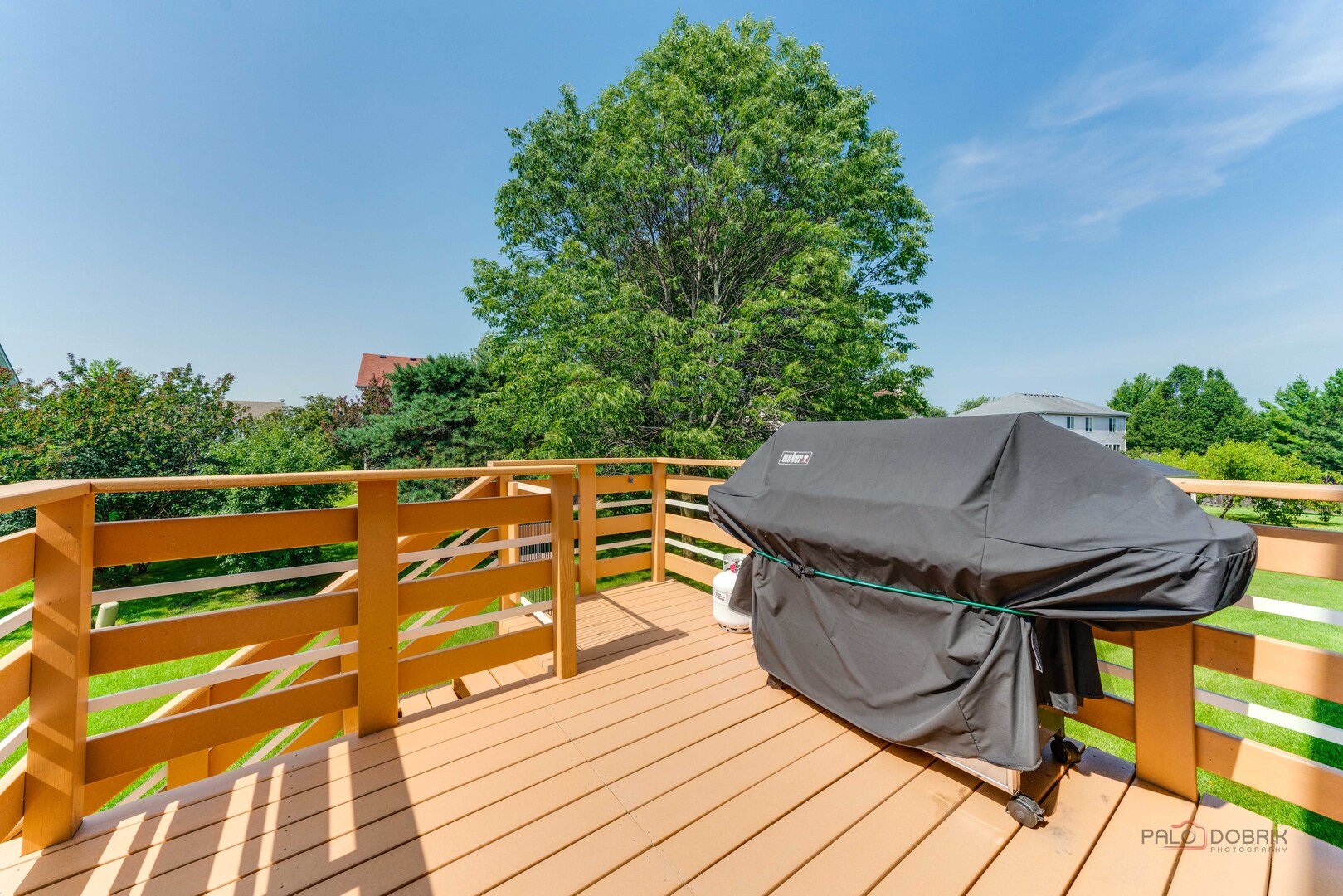 337 W Biros Lane, Round Lake, IL 60073